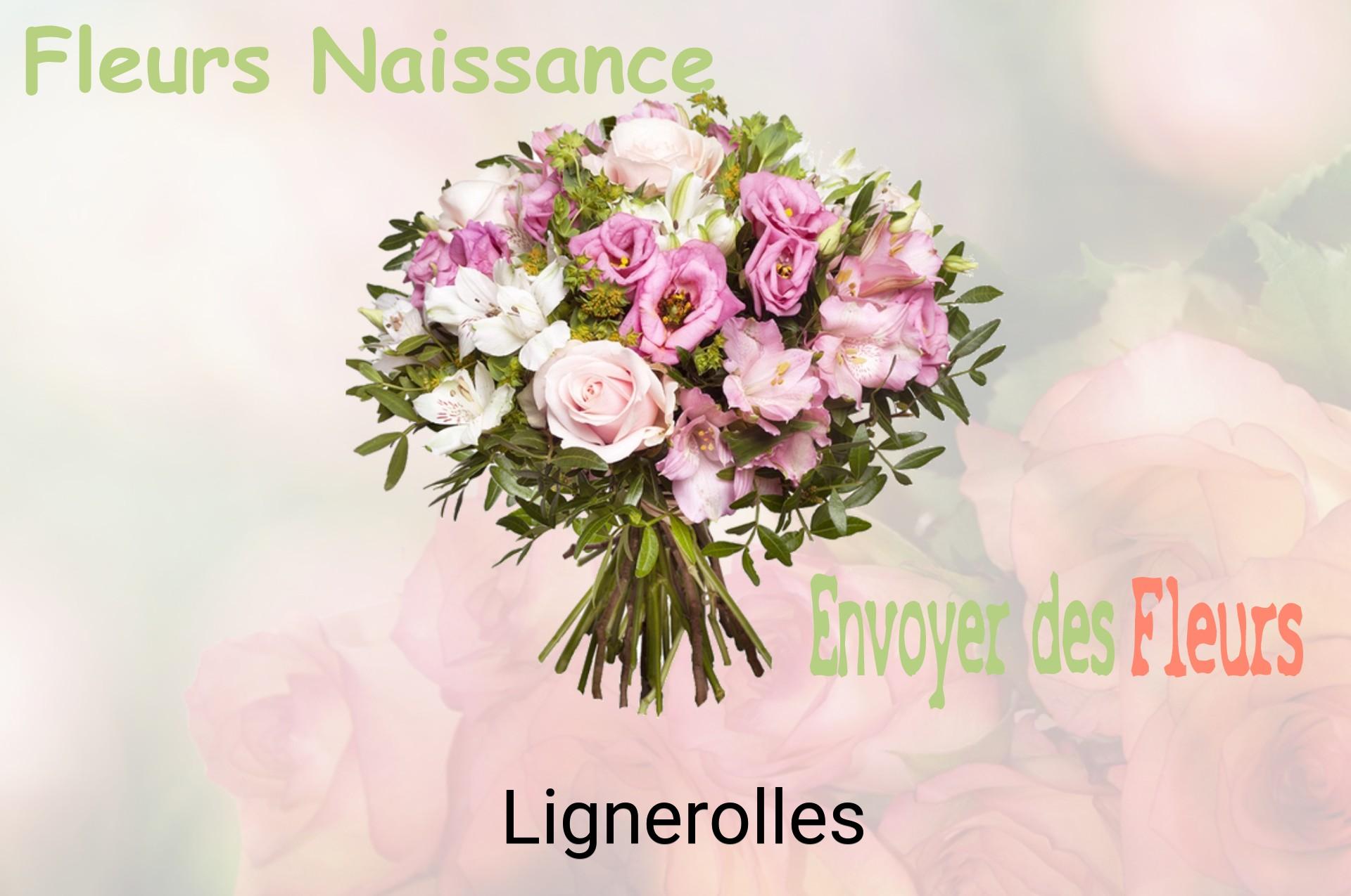 Bouquet de fleurs de naissance livré à Lignerolles